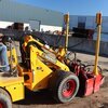 Knikmops-geco-leveller