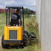 Knikmops-Palenmaaier Knikmops-Palenmaaier