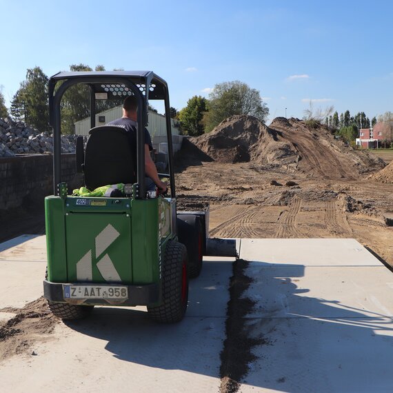 Knikmops – Vijzelbak Knikmops – Vijzelbak